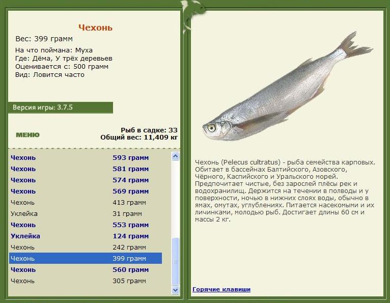 У трёх деревьев 