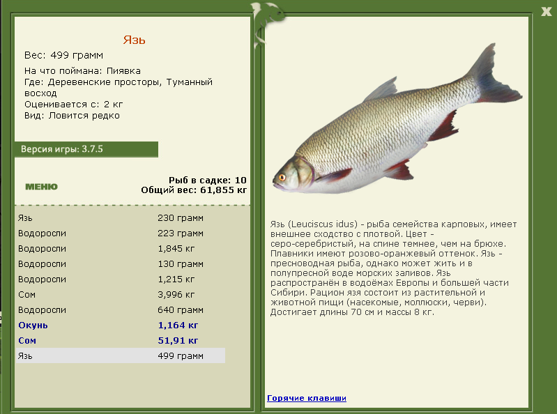 турниры • РУССКАЯ РЫБАЛКА