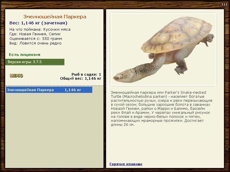 Сепик 