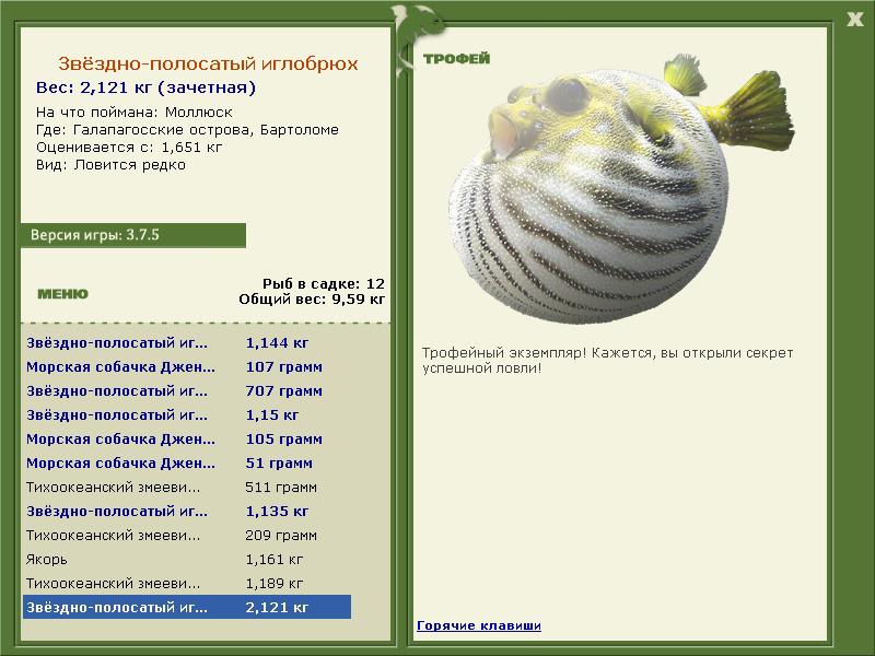 полосатый иглобрюх • Рыбы • РУССКАЯ РЫБАЛКА