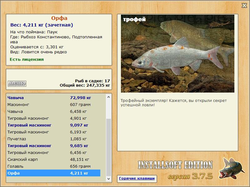 Орфа 