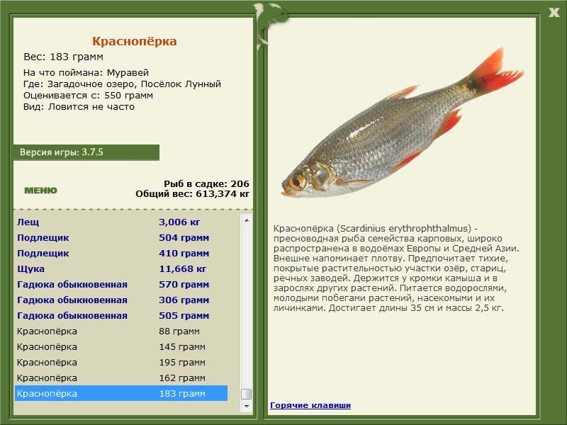 Посёлок Лунный 