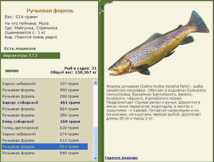 Стремнина 