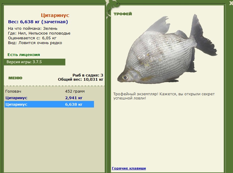 Нильское половодье 