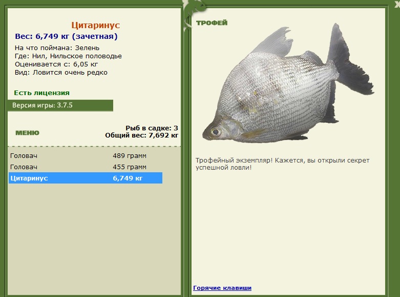 Нильское половодье 