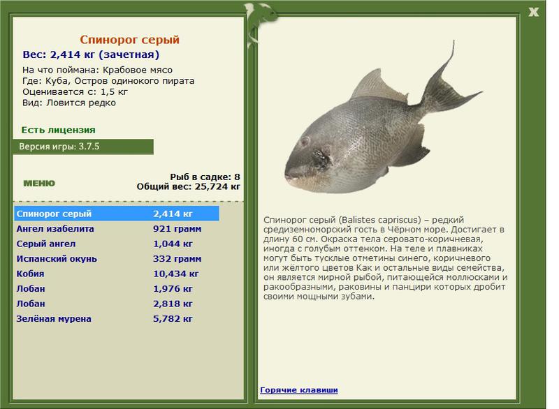 РУССКАЯ РЫБАЛКА Installsoft Edition 