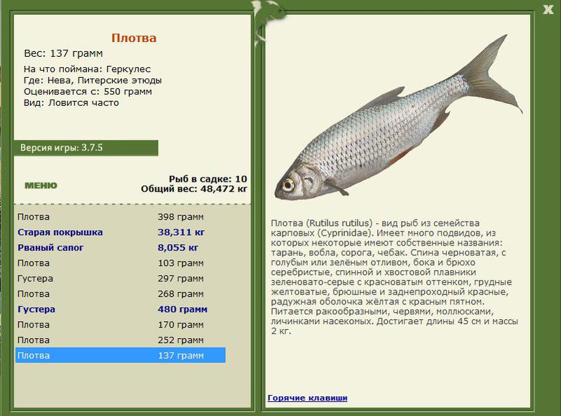 РУССКАЯ РЫБАЛКА Installsoft Edition 