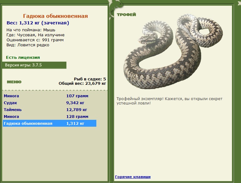 На излучине 