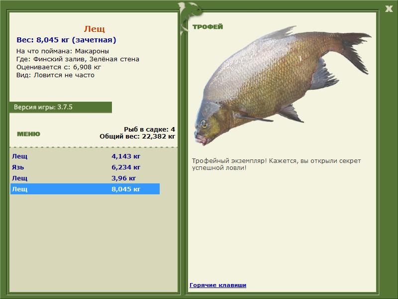 Зелёная стена 