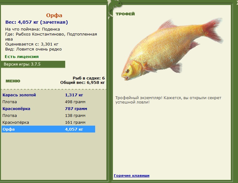 Орфа 