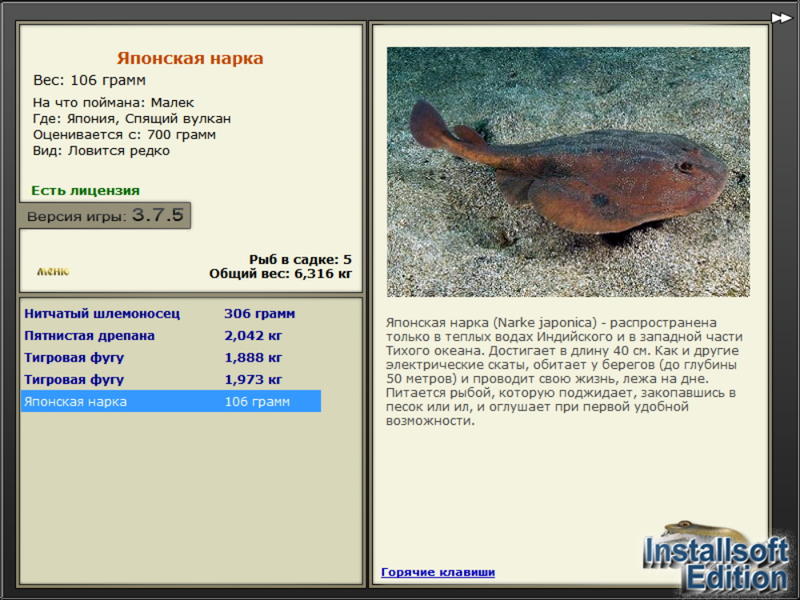 турниры • РУССКАЯ РЫБАЛКА