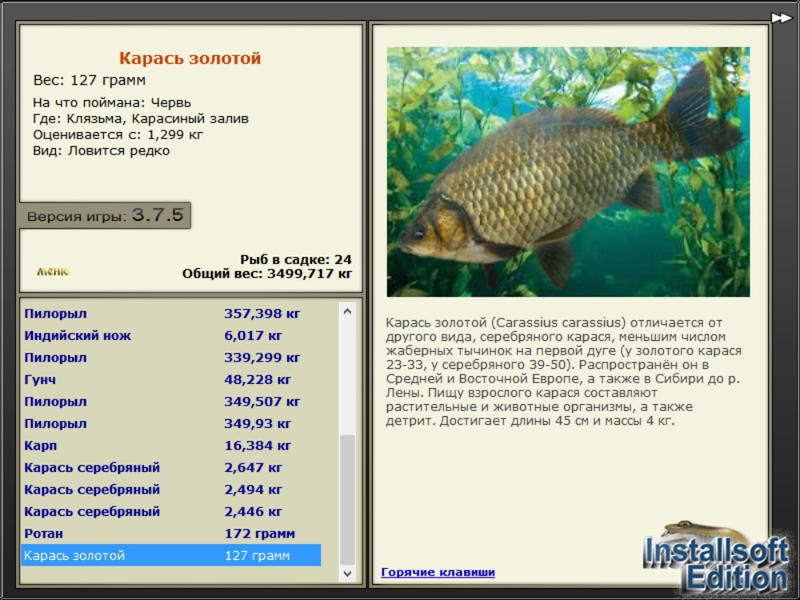 турниры • РУССКАЯ РЫБАЛКА