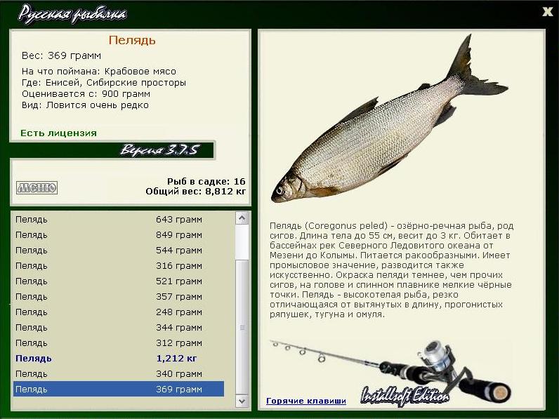 Сибирские просторы 