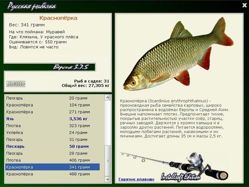 У красного плёса 