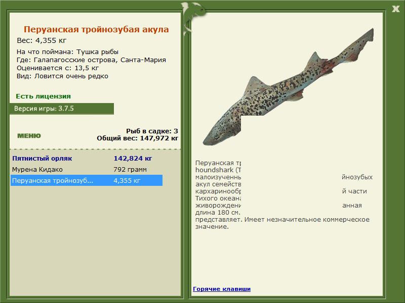 турниры • РУССКАЯ РЫБАЛКА