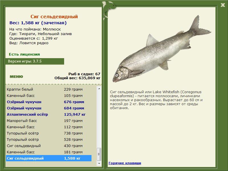 РУССКАЯ РЫБАЛКА Installsoft Edition 