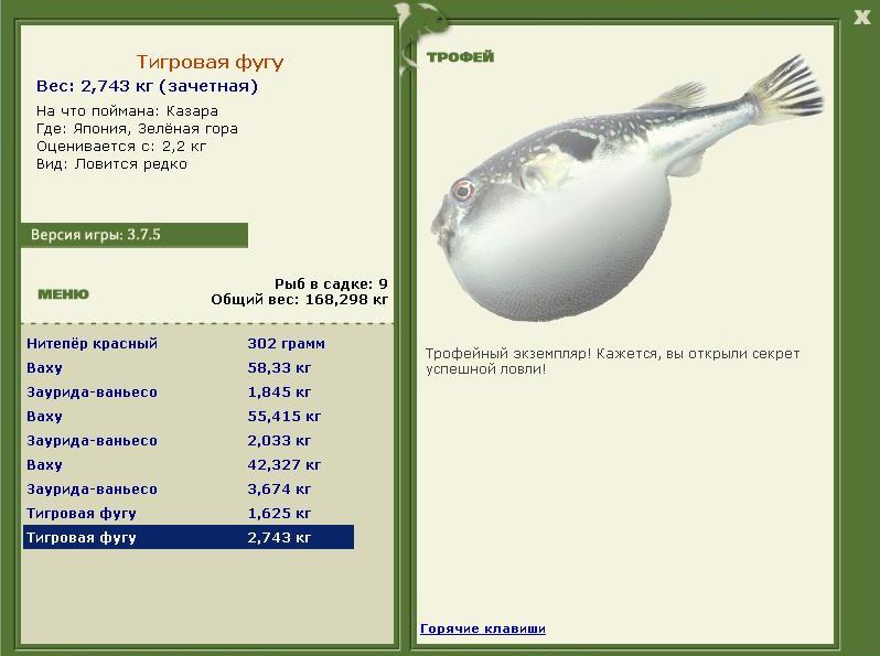 Тигровая фугу 