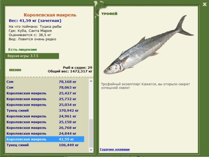 Kоролевская макрель 