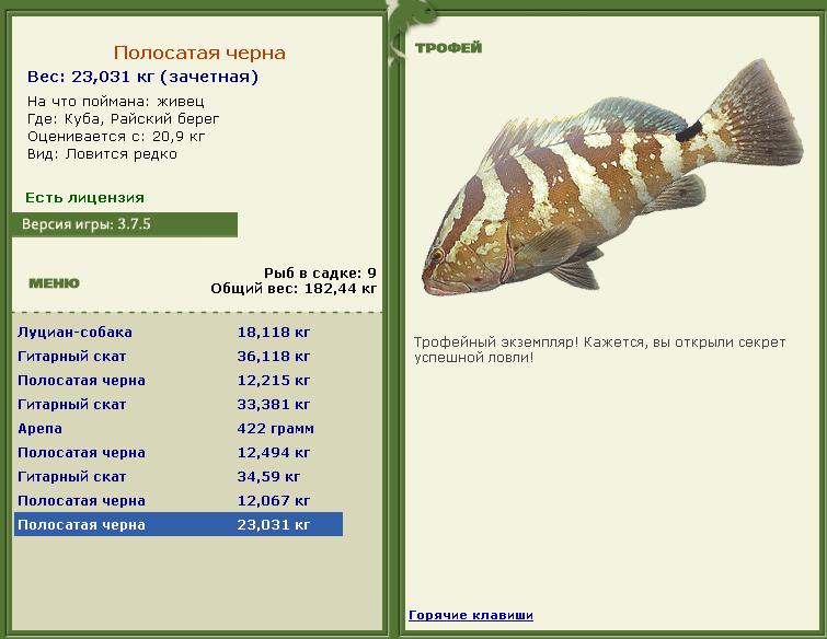 турниры • РУССКАЯ РЫБАЛКА