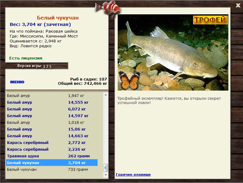 Белый чукучан 