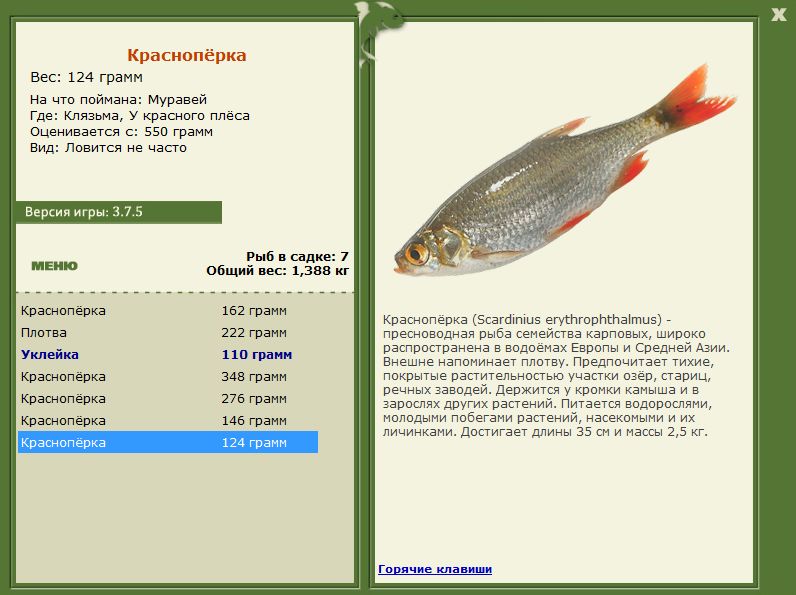 РУССКАЯ РЫБАЛКА Installsoft Edition 