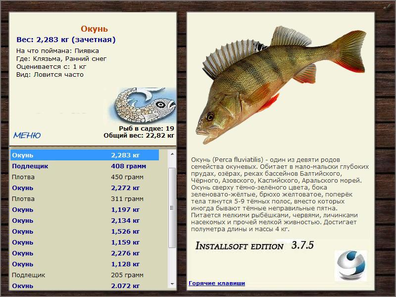 Ранний снег 
