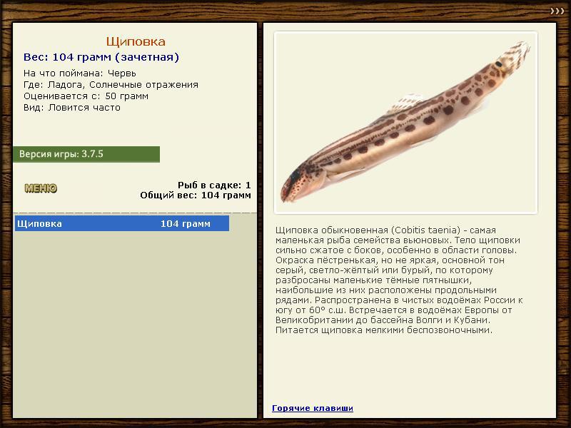 Щиповка 
