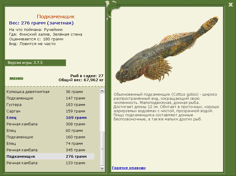 Финский залив 
