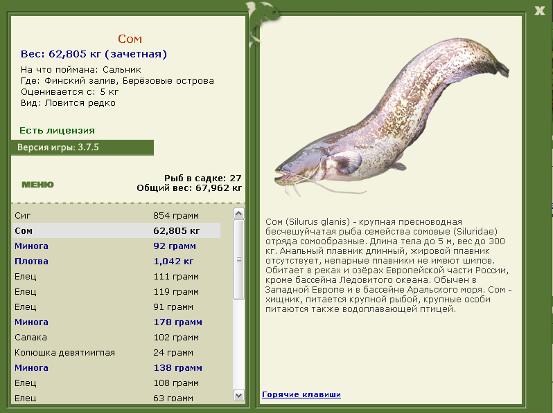 Финский залив 
