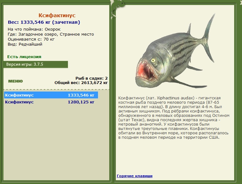 Ксифактинус 