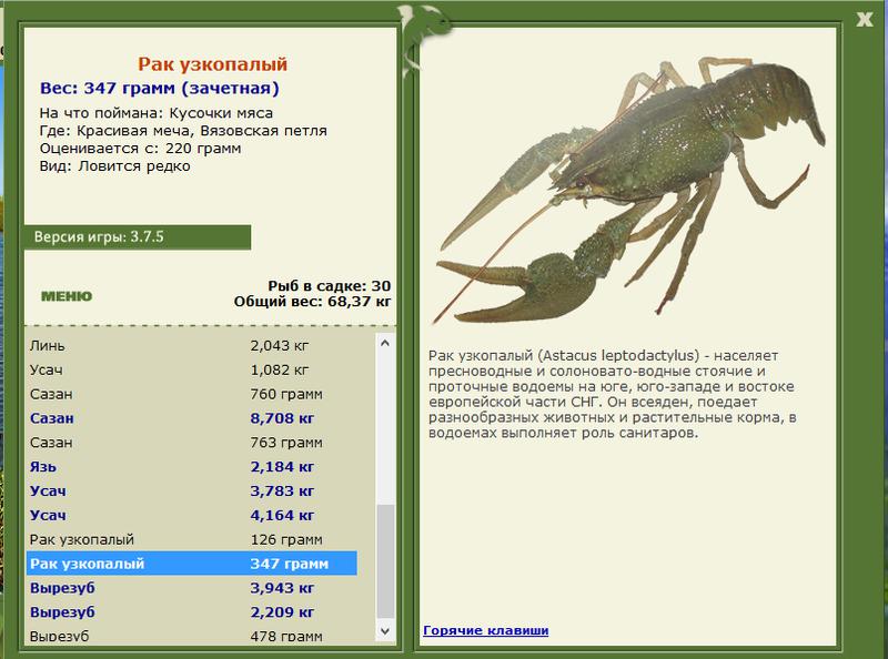 Красивая меча 