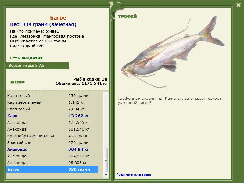 Багре 