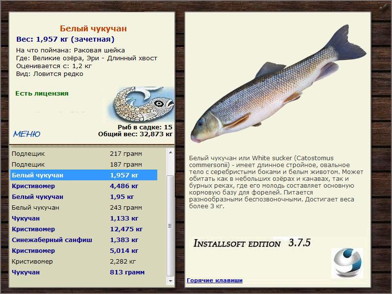  Длинный хвост • Великие Американские озёра • РУССКАЯ РЫБАЛКА