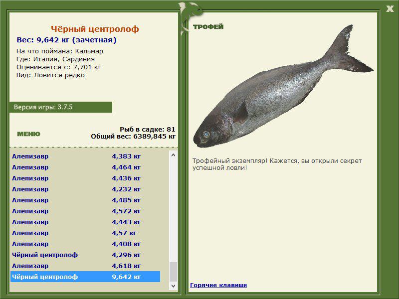 Чёрный центролоф 