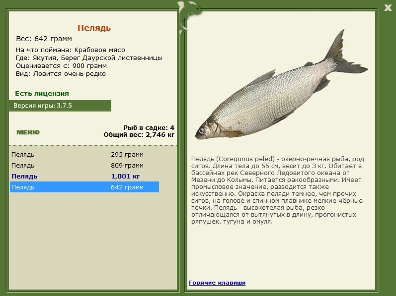 РУССКАЯ РЫБАЛКА Installsoft Edition 