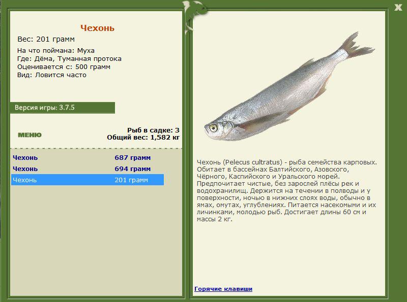 РУССКАЯ РЫБАЛКА Installsoft Edition 