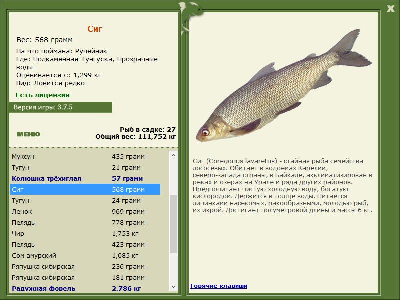 РУССКАЯ РЫБАЛКА Installsoft Edition 