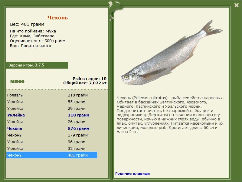 РУССКАЯ РЫБАЛКА Installsoft Edition 