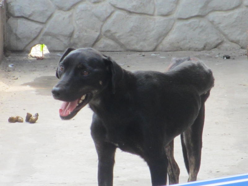  беременная подмашинница с переломами • Срочники!