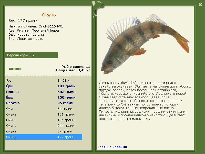 РУССКАЯ РЫБАЛКА Installsoft Edition 