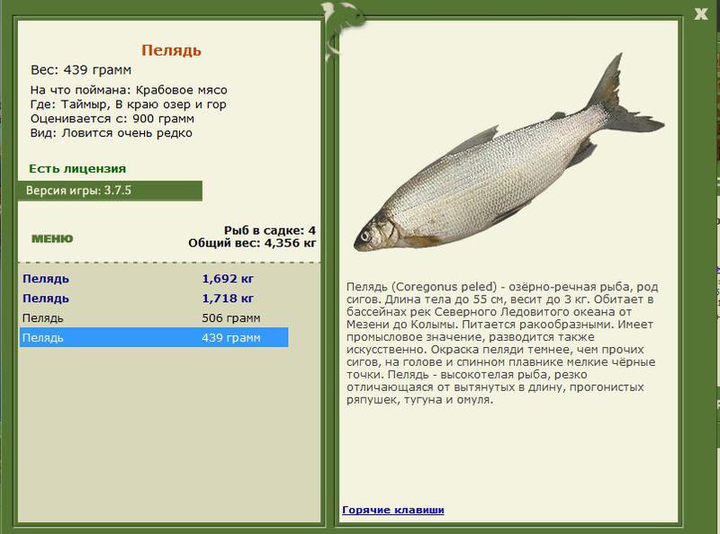 РУССКАЯ РЫБАЛКА Installsoft Edition 