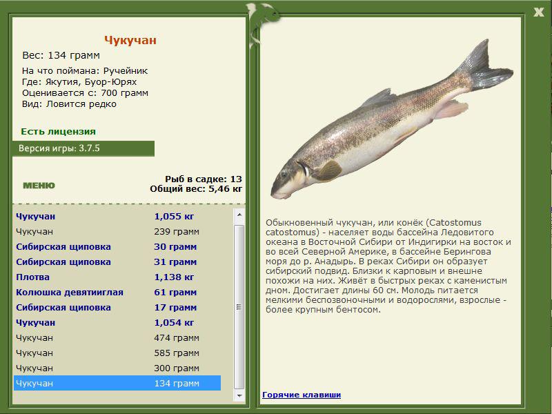 РУССКАЯ РЫБАЛКА Installsoft Edition 