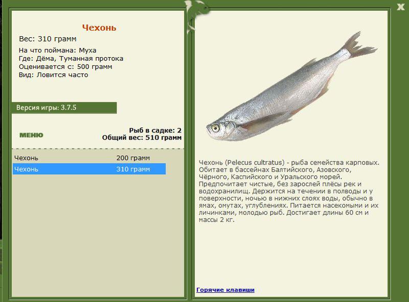 РУССКАЯ РЫБАЛКА Installsoft Edition 