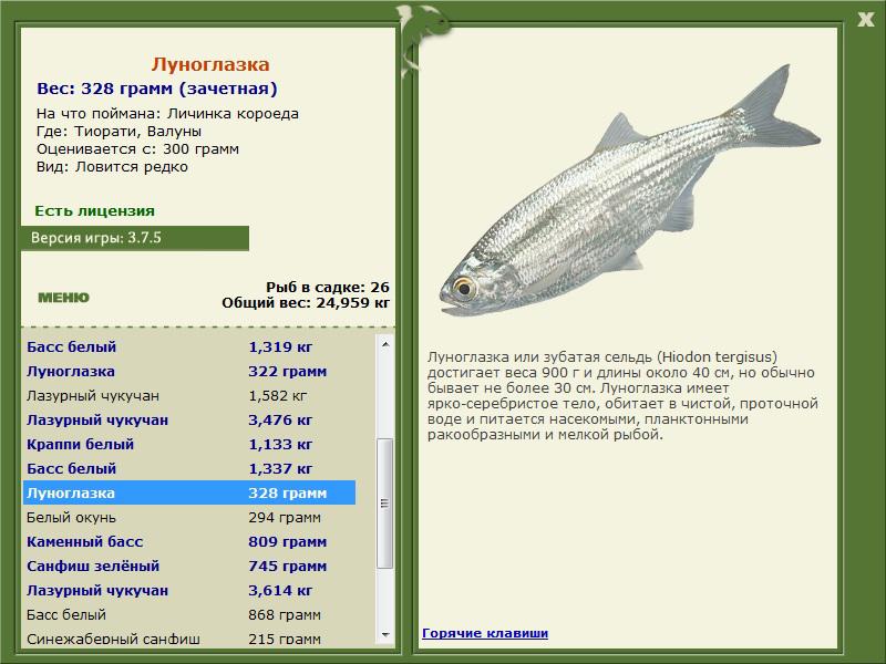 РУССКАЯ РЫБАЛКА Installsoft Edition 