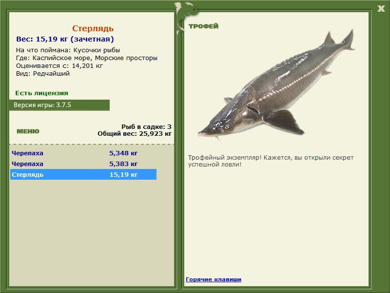 Морские просторы 