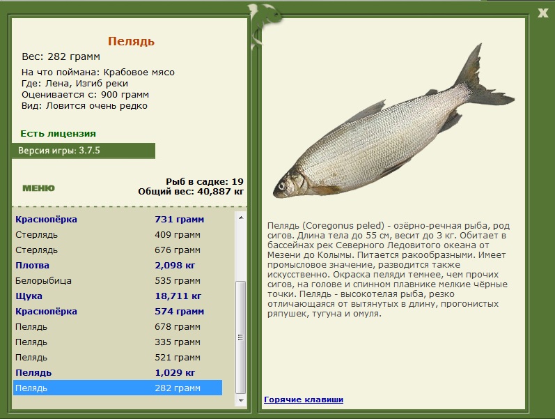 Изгиб реки 