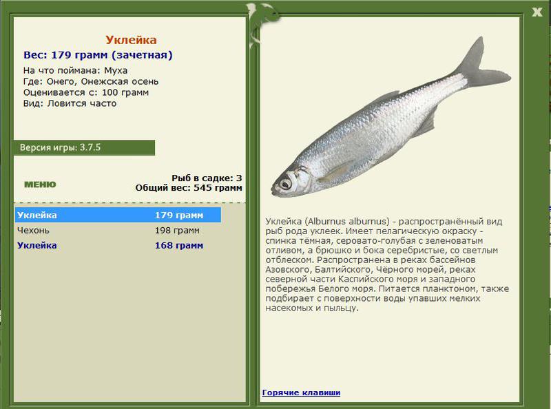 РУССКАЯ РЫБАЛКА Installsoft Edition 