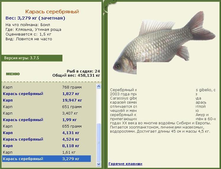 турниры • РУССКАЯ РЫБАЛКА