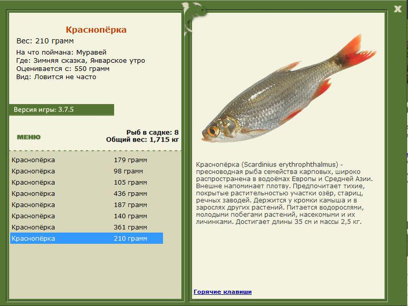 РУССКАЯ РЫБАЛКА Installsoft Edition 