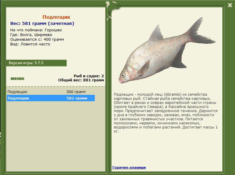 РУССКАЯ РЫБАЛКА Installsoft Edition 